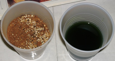 The cup on the left contains a TIME RELEASED NUTRIENT, while the cup on the right contains a LIQUID NUTRIENT.