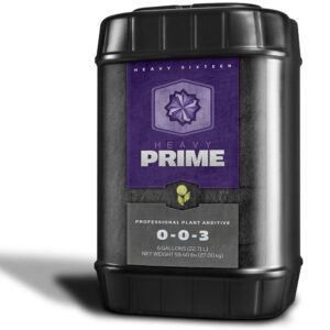 Heavy 16 Prime Concentrate 6 Gallon (23L)