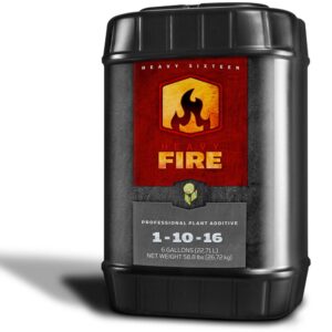 Heavy 16 Fire 6 Gallon (23L)