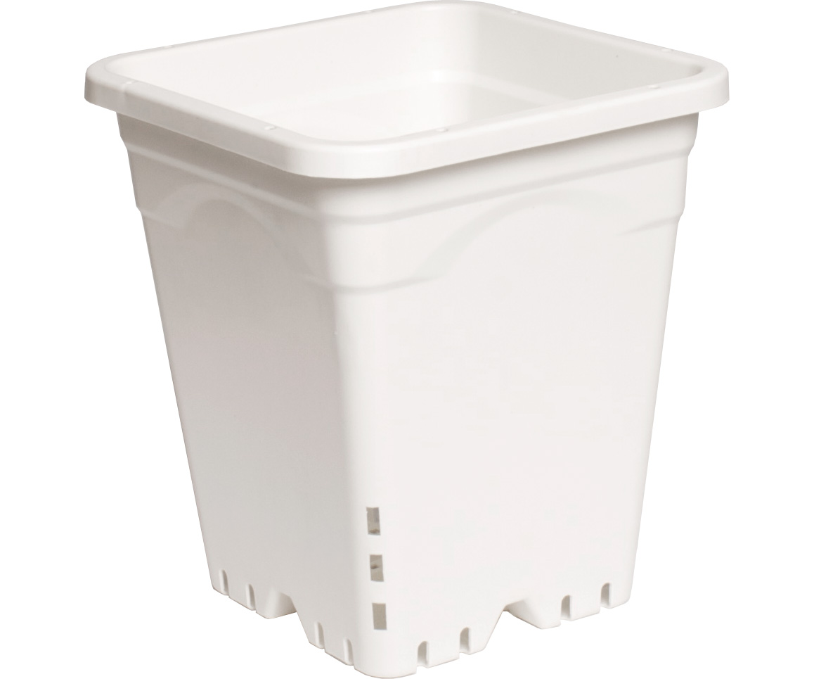 Active Aqua 9"x9" Square White Pot 10" Tall
