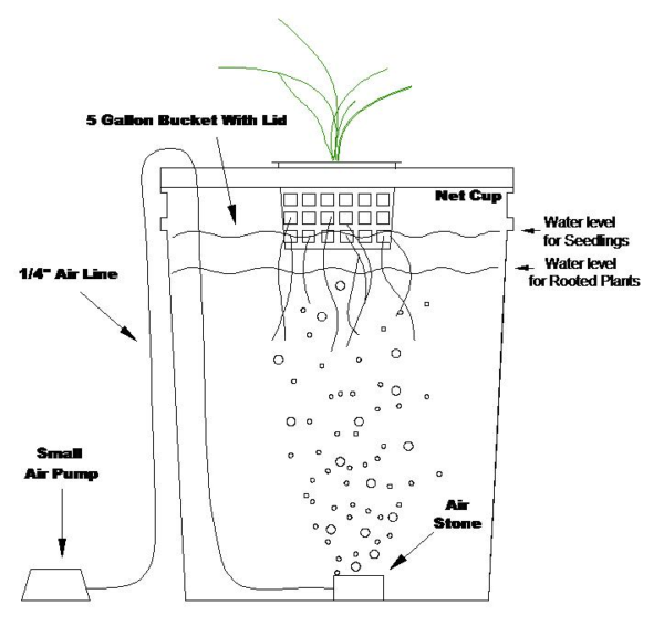 Quick and Easy Bubbler System Simply Hydroponics