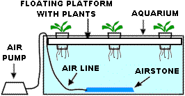 Water Culture System Simply Hydroponics